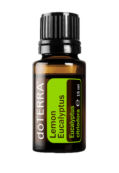 Lemon Eucalyptus (Zitroneneukalyptus) Eucalyptus citriodora 15 ml. Flasche